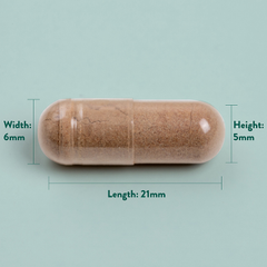 Image 4 for Double Strength Grapeseed Extract 100mg 50 Capsules